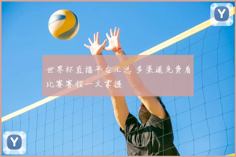 世界杯直播平台汇总 多渠道免费看比赛赛程一文掌握