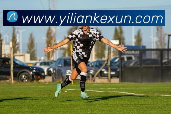 米兰·(milan)中国官方网站平台生态图